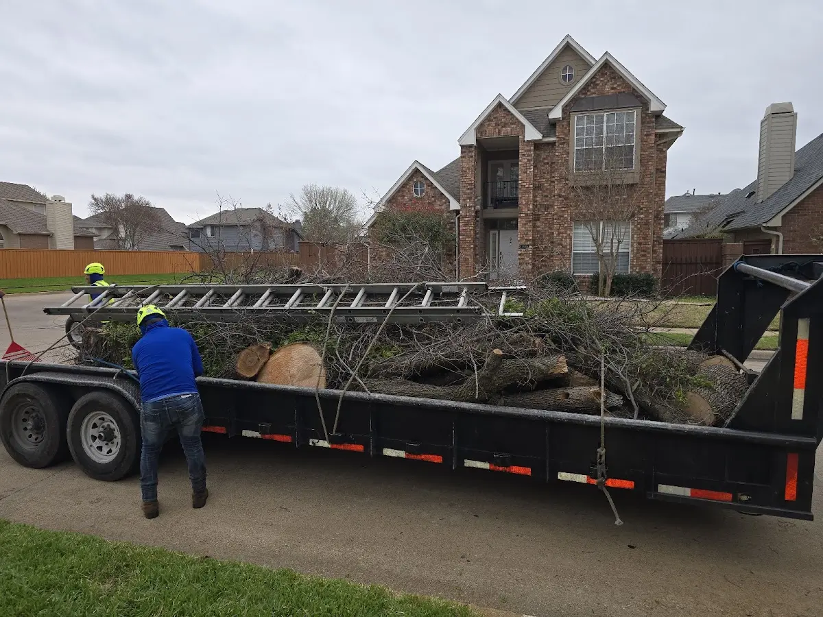 Expert Lot Clearing with proper safety equipment in Grace City
